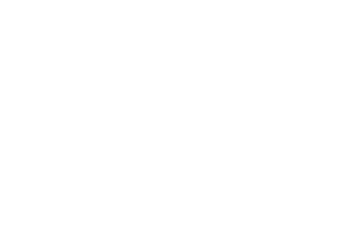 Logo SR Telecom Branca Webp
